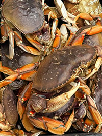 Crabs
